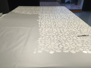 20150929_173540031_iOS