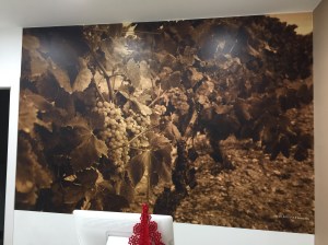 20151215_150439421_iOS